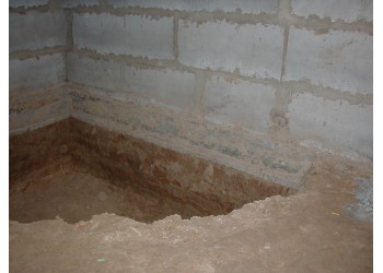 Чайки