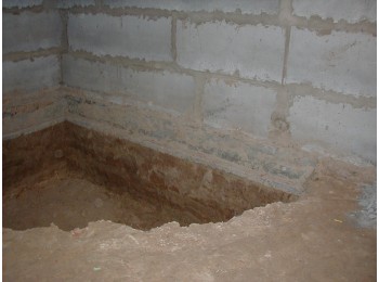 Чайки