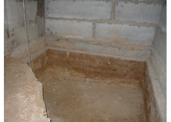 Чайки