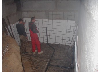 Чайки