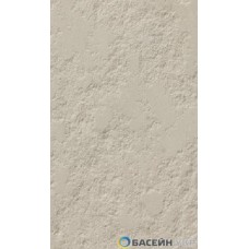 Скиммер Astral 296 х 228 под пленку, с латунными вставками